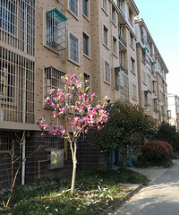 �������Ĵ�ɫ��������