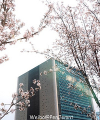 ͬ�ô�ѧӣ��