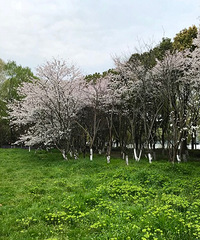 �Ϻ��� ��ӳ����