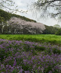 �Ϻ��� ��ӳ����