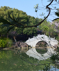 �����Ĵ�ɫ