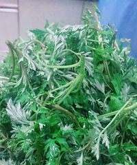 艾草青团了解一下