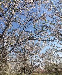 ȥ�ιٰ���Ǯ����ӣ�� �����翴������ֱ������