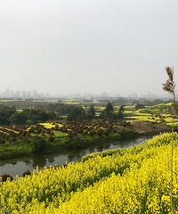 �ǽ�Ұ�� �е�����