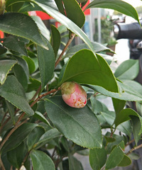 ���Ҽ�����ʮ������ͷ��������������������ɫ�൤ Ȼ�󡤡���