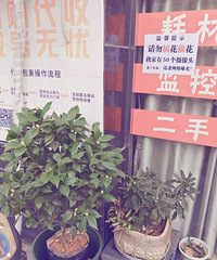 ���Ҽ�����ʮ������ͷ��������������������ɫ�൤ Ȼ�󡤡���