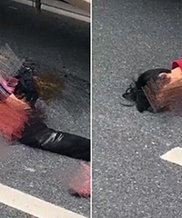 ͻ��Ѫ�ȳ�����Ů��ϥ����÷��� ��ͷ��¶