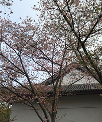 �������ϡ�