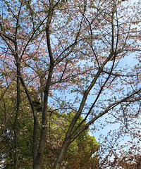 �������ϡ�