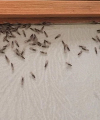 ǽ���������������һ��Ƭ���������ѣ��ǰ��ϣ�