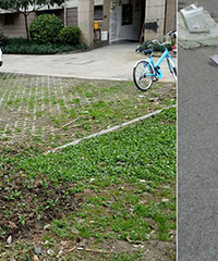 �²���ҵ��С���ſڱ�˳� ������Ⱥ�Ȳ�����