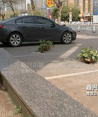 ȱ�£�����ͣ����ɽ·�ĳ�λ�� �������ԡ��Ա���������