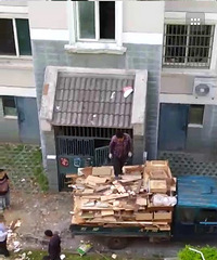 �����أ�����ĳС�����˴���¥�߿���ľ�� �̻�����ȫ�ƻ�