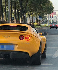 ·��L��ͷ�����ܳ� ϡ��Ʒ�֣������ͽ�