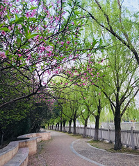 �����Ҫ���ؽ�ҽԺ��