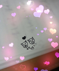 �칫������ �������跴�� ����Ҫ�������