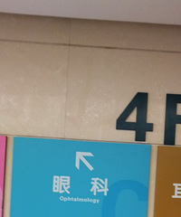 ����һ��ͷǨ��طű��� ����۾���ը�ˣ�