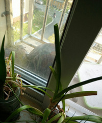 ����������� ���Ҽҳ���������˸��� ��������������