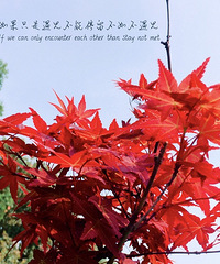 4�£��������޵ĺ�