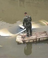 �Ƽݣ�ƽ���²�һ˾��ֱ�ӽ�����������