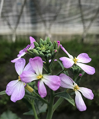 �²������ʲô��