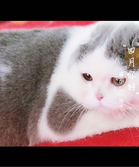 ����һ�����������ط羰��������