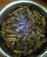 ������...����̤��������С�� ���¿��ԳԺþ��ˣ�
