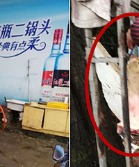 �ڶ�դ�Ͻֿ�������һĻ Ů������ǹ���š�