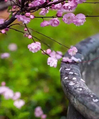 һ��һ��һ��һľ