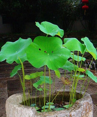 һ��һ��һ��һľ