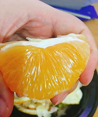 ���Ľ۽� ����˯ǰ�̲�ס����һ��