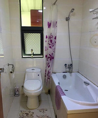 �𶼾���������