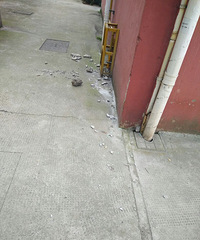 ̫Σ�գ���С��ǽ������ ��������שͷ ÿ�컹�������ڵ���ɢ��