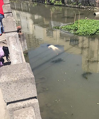 �������ƾ�������Ůʬ ȫ�����㣡