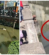 ����ĳ�ӵ����ƾ�������Ůʬ ȫ�����㣡