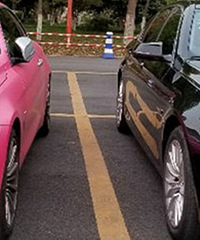 ����Ժ��������ͣ�˷�ɫ���� �����ʵ�����