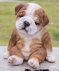 ���鲻ˬ��ʱ�������Ȧ������һ�㡢��