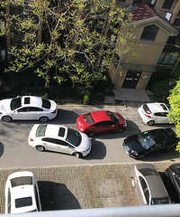 С����ʷ�����ض³��¹ʣ�������������������� ���Ƕ�ֻ�ܵ�ͷ