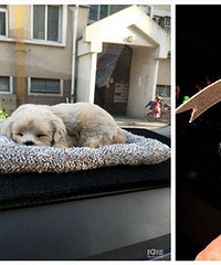 ɹ�����ϵĹҼ����ڼ���������Ѻ���������