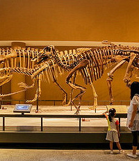 �ؼۣ��Ϻ���Ȼ����� �걾���������֮��