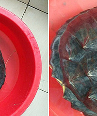 7.5������ڷ�����԰��׽������