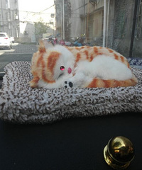 ���ɰ���è�� �������ҳ���Ҫ��һ�£�