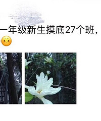 [����]ĳʦ��ѧУ ��������27����