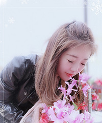 ���ι���