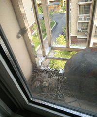 ��̨��ס��һ�Ѱ�� �����Ӳ��þ�Ҫ������