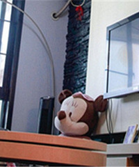 3��ͰѰ��趼�еĻ鷿������ �º��