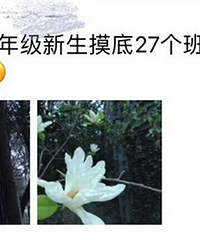 ĳʦ��һ�꼶��������Ҫ27���� �е��