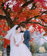 �ҵľ������Ļ�ɴ��