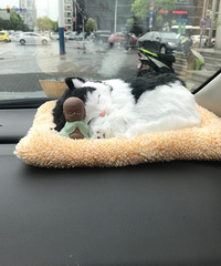 ��ͷ˯����è ����ſ�ڲ������Ͽ� �����ǲ������