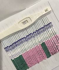 Ϊ�˻���ÿ���ڼ�����